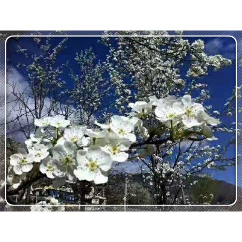 地球这么广，我想去转转