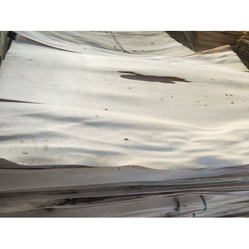 出售：杨木皮子 杨木皮子 批发