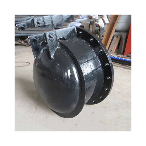 厂家直销防倒灌拍门 各种材质各种型号可定制