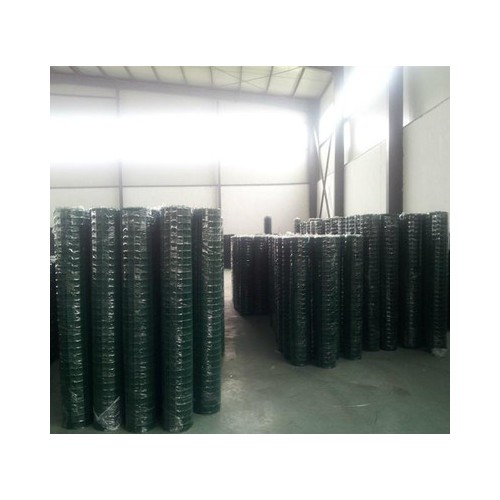 专业生产规格荷兰网 电焊铁丝网 铁丝网