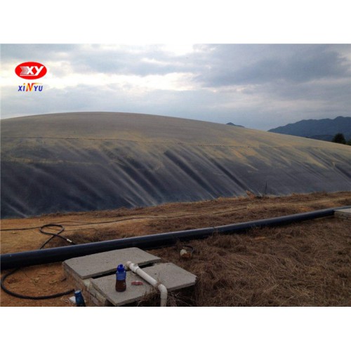 主营防渗膜 土工膜