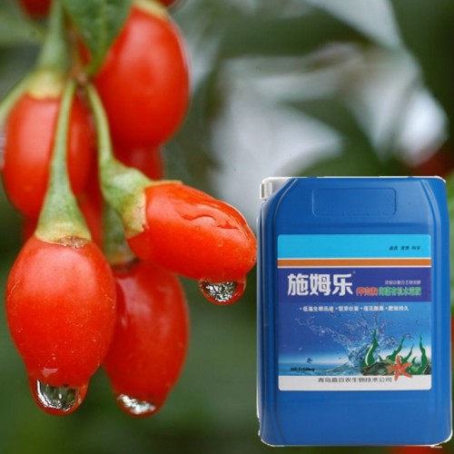 枸杞专用生根剂 施姆乐甲壳素海藻有机水溶肥10kg/桶