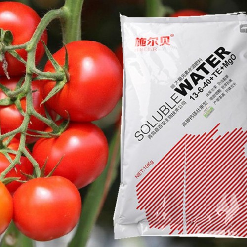 小番茄专用壮果型大量元素 施尔贝高钾壮果型大量元素