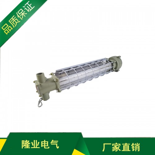 DGS36127L(A)矿用隔爆型巷道灯