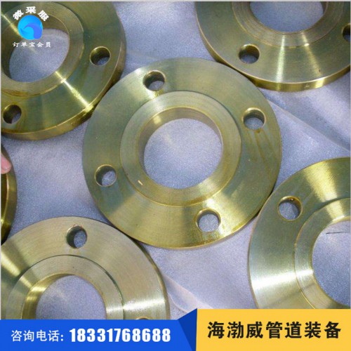 不锈钢法兰_海渤威_不锈钢人孔_锻打法兰_不锈钢高压法兰