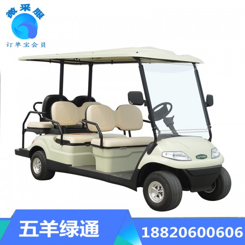 高尔夫观光车  4座高尔夫观光车  广州高尔夫观光车   6座高尔夫观光车