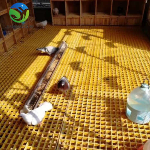 养殖场漏粪板优点   鸽棚网格板   鸽舍地网