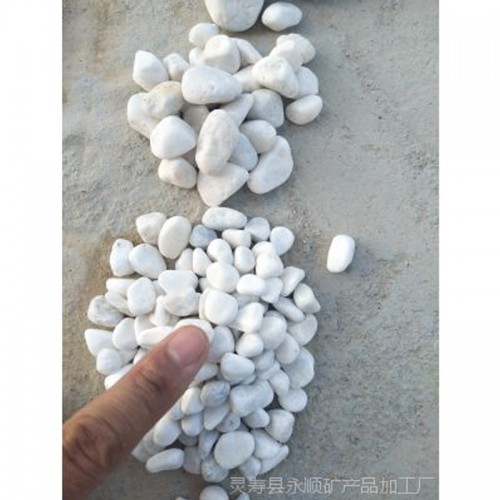 白色鹅卵石 白色园林鹅卵石