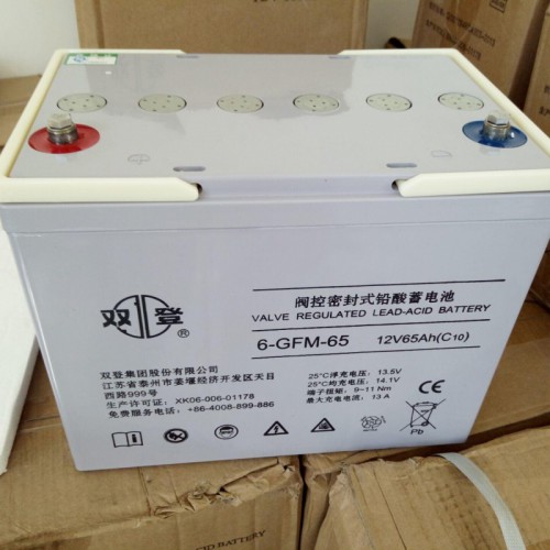 双登蓄电池12V65AH原厂正品免维护铅酸蓄电池UPS电池