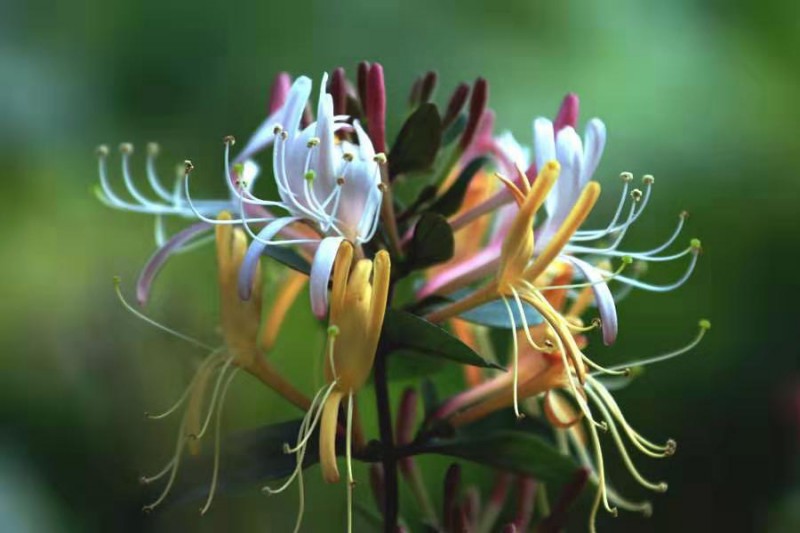 Summer beach concept