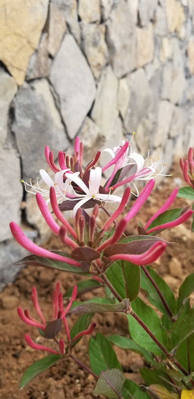 Summer beach concept