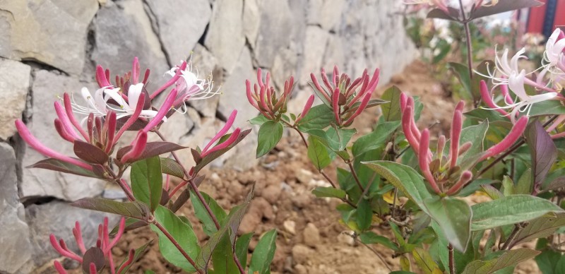 Summer beach concept