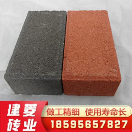 透水砖 厂家直销20010050/60红色通体透水砖