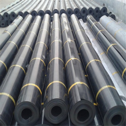 土工膜藕池养殖 人工湖专用防渗膜土工膜  蓄水池专用膜