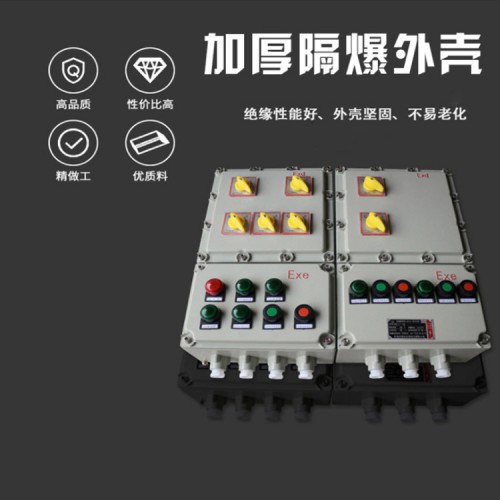 BXM防爆配电箱断路器开关仪表检修照明动力控制电源接线箱