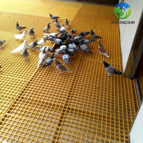 鸽舍篦子地网 鸽笼漏粪用地网格栅 鸽棚玻璃钢格栅厂家