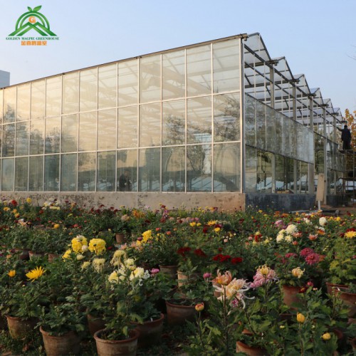智能温室建设  智能温室生产厂家