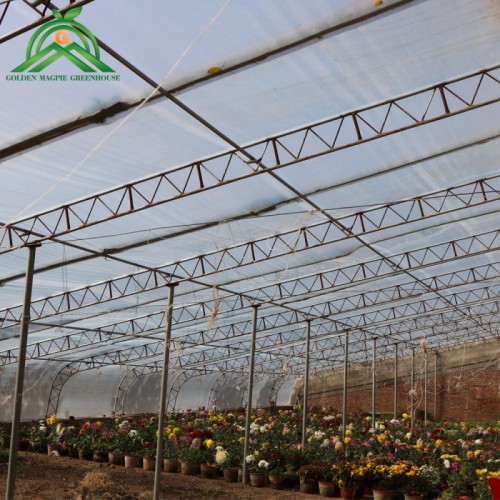 养殖大棚骨架  养鸭大棚  养鸡棚