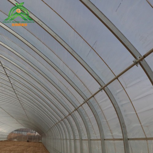 塑料薄膜椭圆管大棚 椭圆管生产厂家