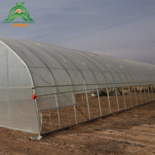 养猪大棚   新型钢架养猪大棚   养猪大棚骨架生产厂家