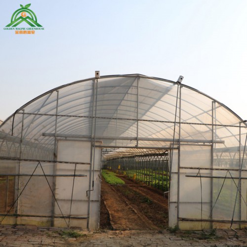 塑料薄膜温室大棚  薄膜连栋大棚 抗风雪连栋大棚