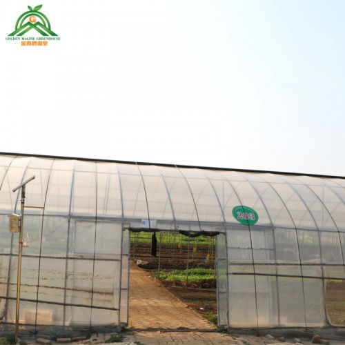 薄膜连栋温室 廉价塑料薄膜连栋温室