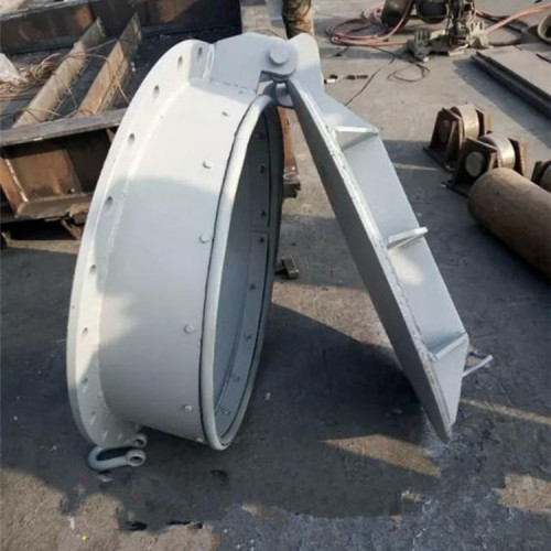 拍门  铸铁拍门 圆形铸铁拍门