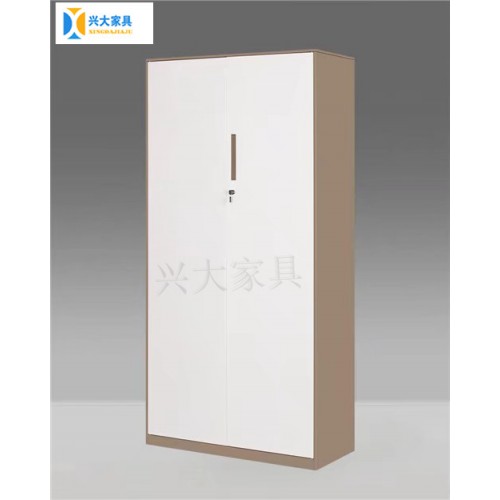 厂家直销 文件柜 储物柜 定做铁皮柜 档案柜铁皮柜 铁柜