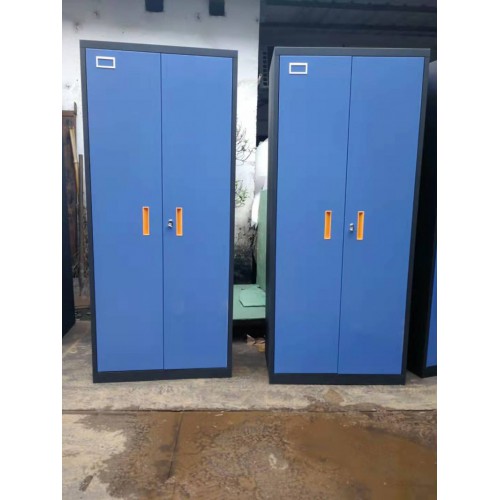 源头厂家 单人两门衣柜 员工宿舍衣柜 铁柜 量大从优