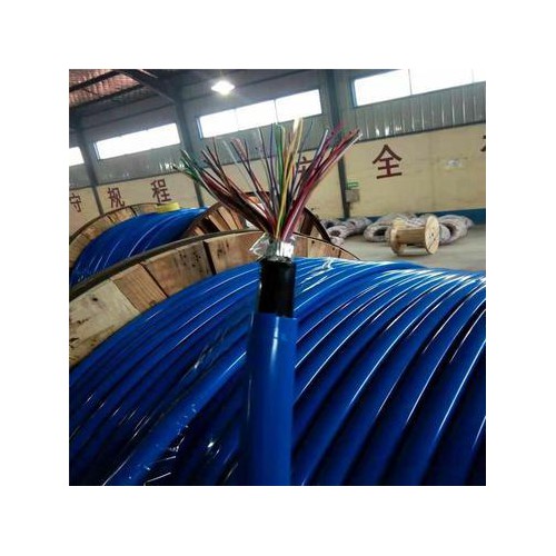 矿用通信电缆MHYSV-矿用阻燃通信电缆MHYSV