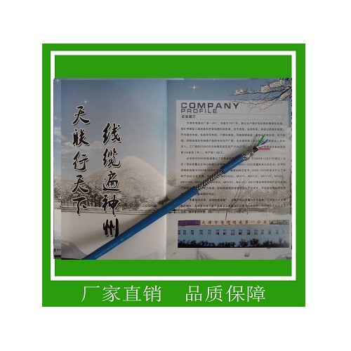 煤矿用阻燃通信电缆MHYSV 矿用电缆厂家直销
