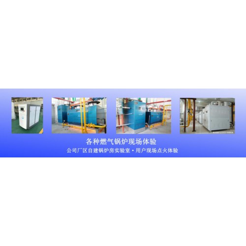 蒸汽锅炉 蒸汽发生器 蒸汽锅炉规格型号