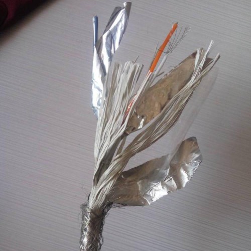 总线电缆GS-HRPVSP 国标GS-HRPVSP总线电缆