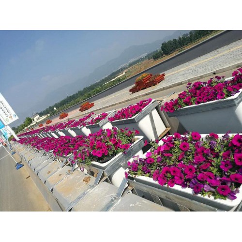 SMC模压玻璃钢花盆工程花盆