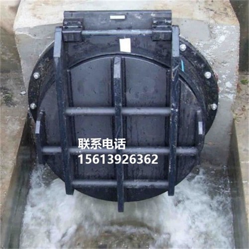 铸铁拍门 高压铸铁拍门 铸铁镶铜拍门 海鹰水利 铸铁拍门图片