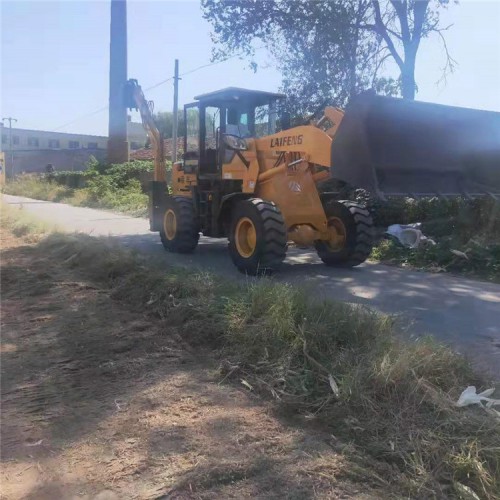 大型两头忙装载机  莱丰 源头厂家两头忙装载机 厂家现货