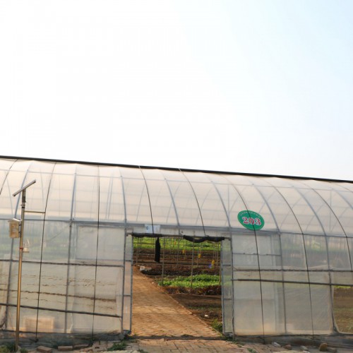 薄膜连栋温室生产厂家 薄膜连栋温室建设施工 薄膜连栋温室设计
