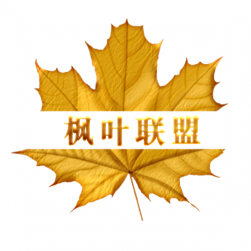 团队优势＆扶持