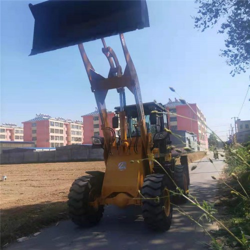 重工两头忙装载机  莱丰 多功能两头忙装载机 工程搬运