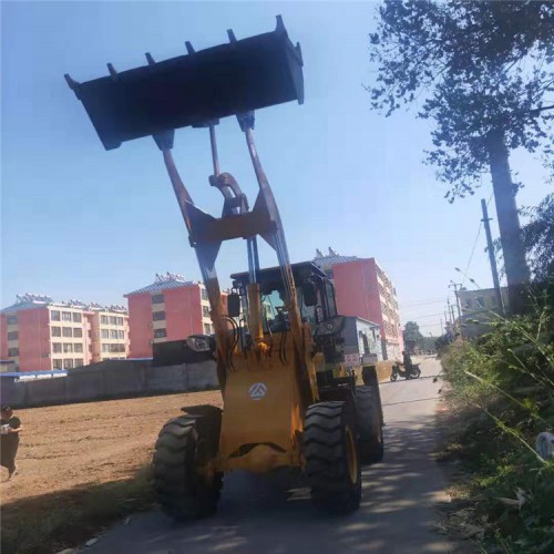 小型两头忙装载机  莱丰 欢迎订购两头忙装载机 工程搬运