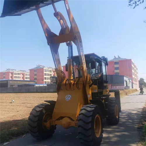 小型两头忙装载机  莱丰 两头忙装载机一机多用 现货直销