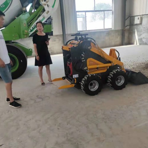 国产滑移小铲车 养殖场微型滑移小铲车 微型小铲车视频