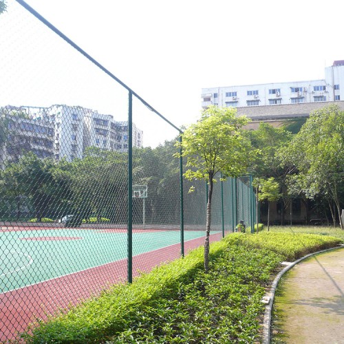 球场围网—河北盾甲
