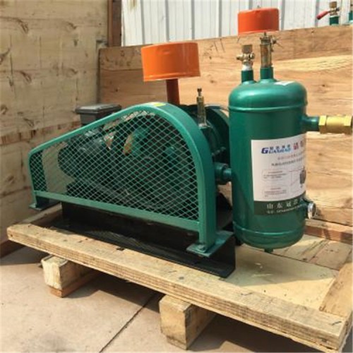 静音回转式鼓风机 低噪音回转式鼓风机 回转式鼓风机