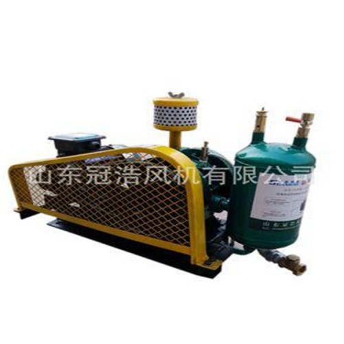 鼓风机 小型回转鼓风机