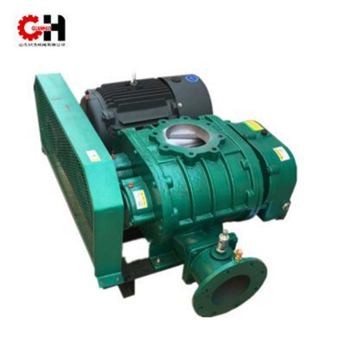 罗茨鼓风机 铸铁罗茨鼓风机 专用罗茨鼓风机