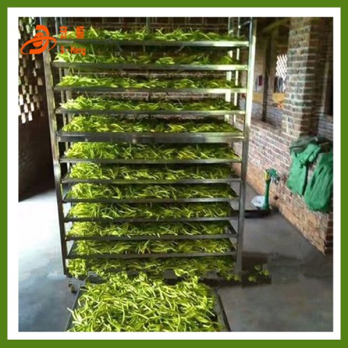 脱水蔬菜烘干机