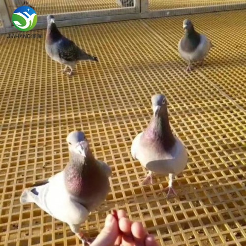 洗车房玻璃钢格栅方格盖板排水沟地沟地格栅漏水树篦子鸽舍地网