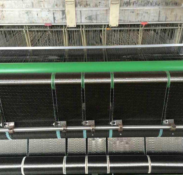 Summer beach concept