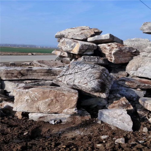 龟纹石 景观龟纹石